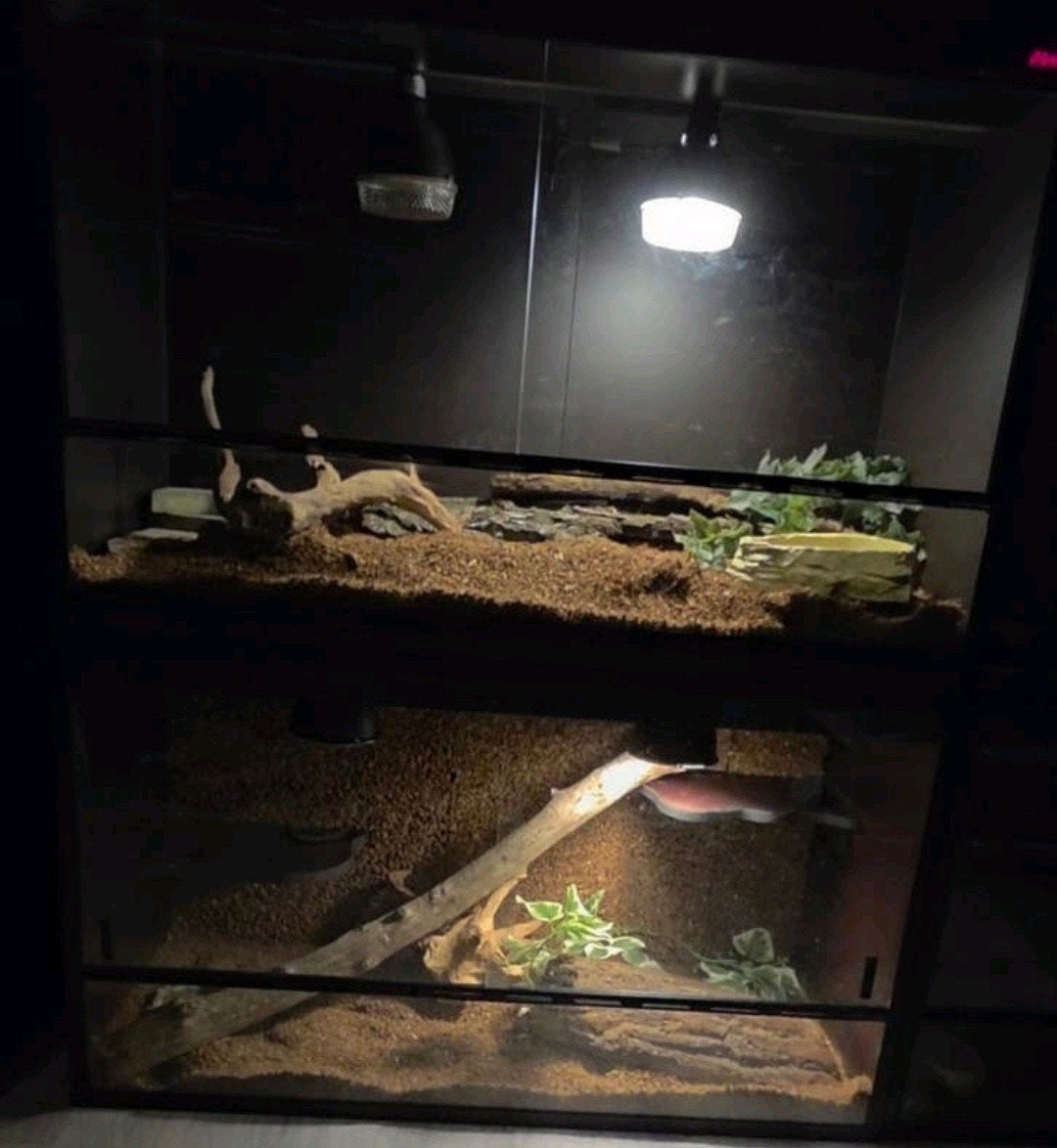 Betonplex terrariums op maat., Dieren en Toebehoren, Reptielen en Amfibieën | Toebehoren, Ophalen, Nieuw, Terrarium of Paludarium