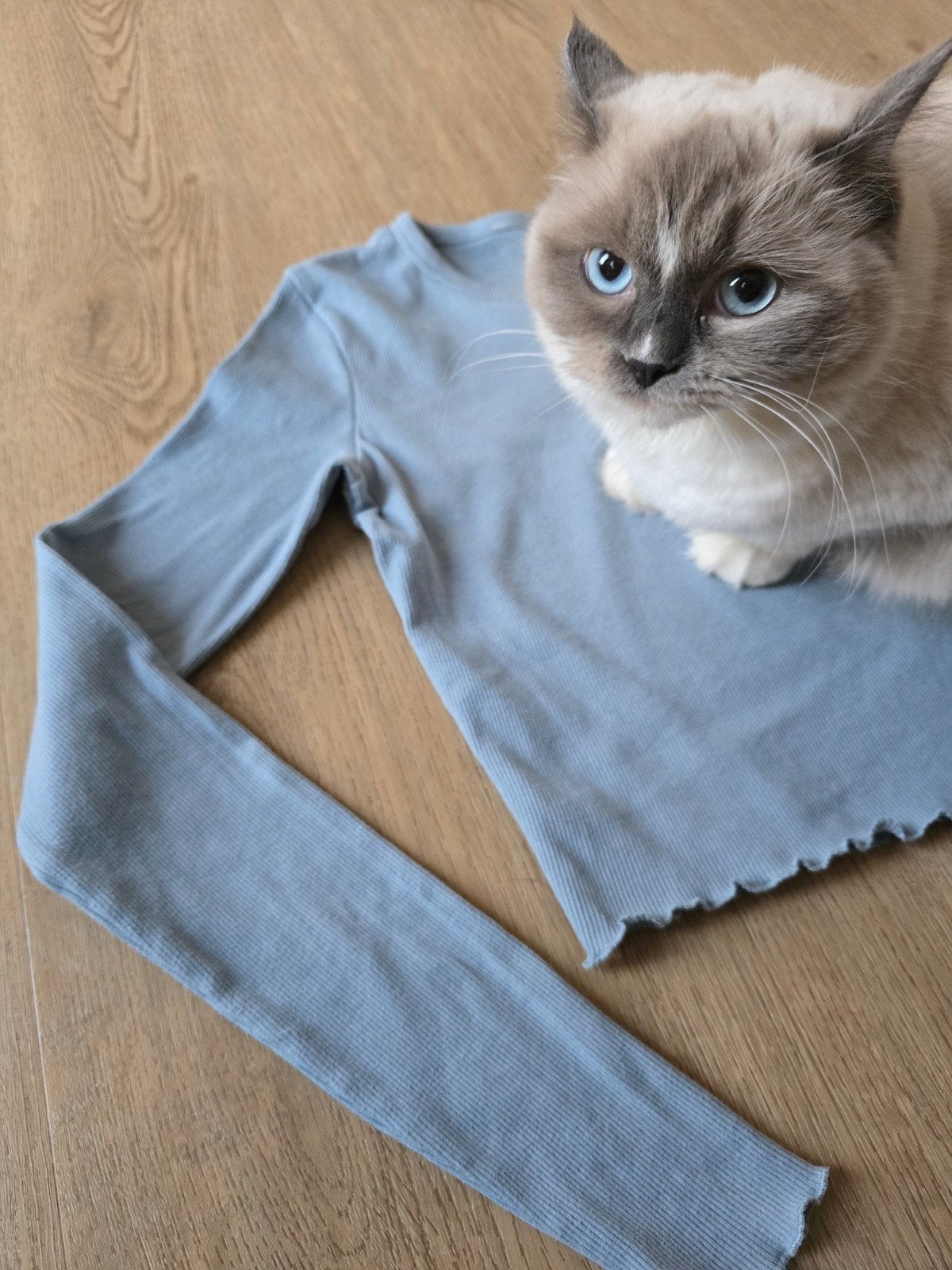 Crop Top, Blauw, Ophalen of Verzenden, Zo goed als nieuw, Lange mouw