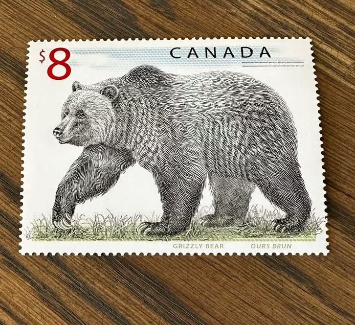 Canada 1997 Grizzlybeer dieren Postfris grote Postzegel, Ophalen of Verzenden, Postfris