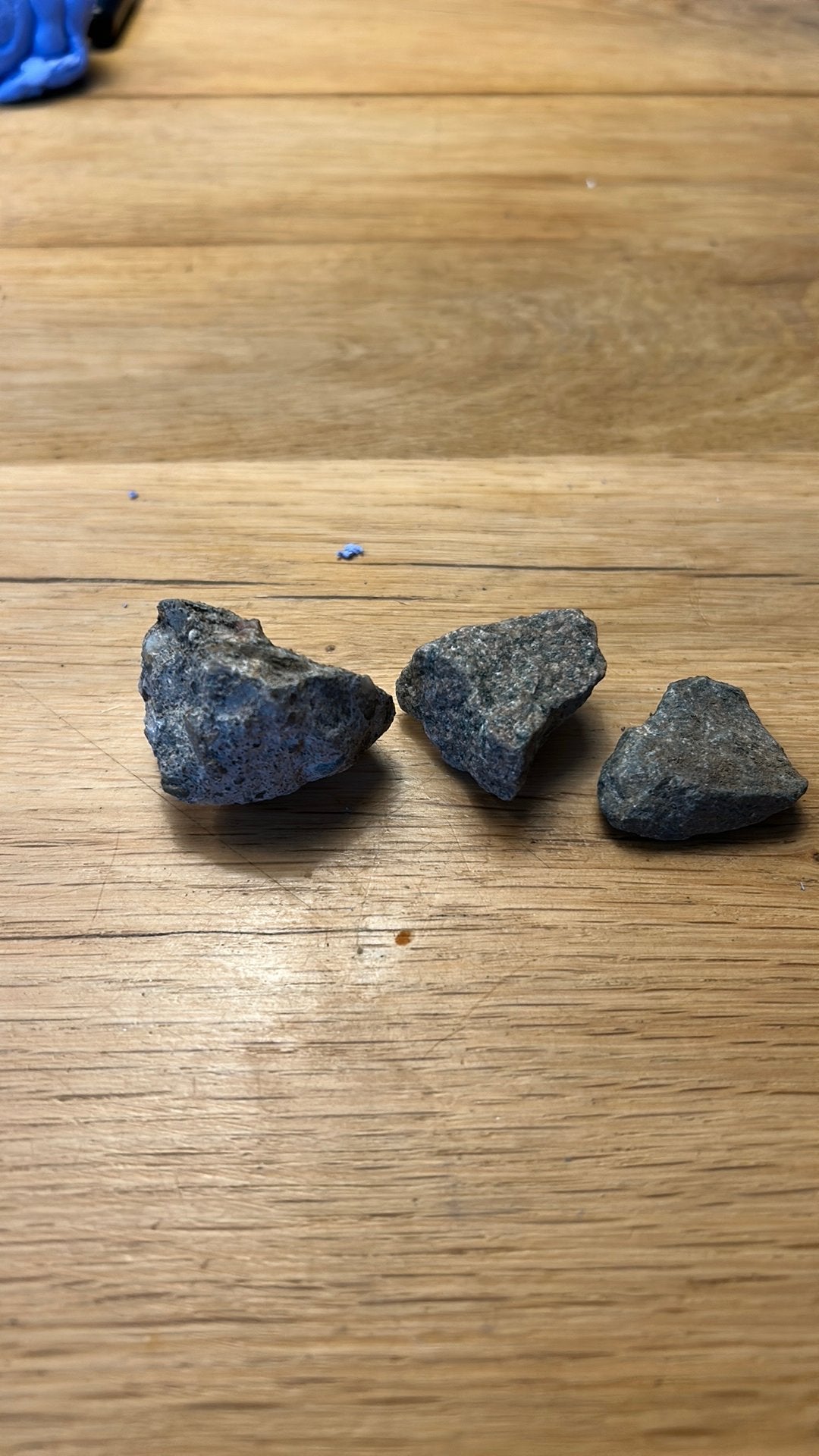 3 schelpen, Ophalen of Verzenden, Overige typen