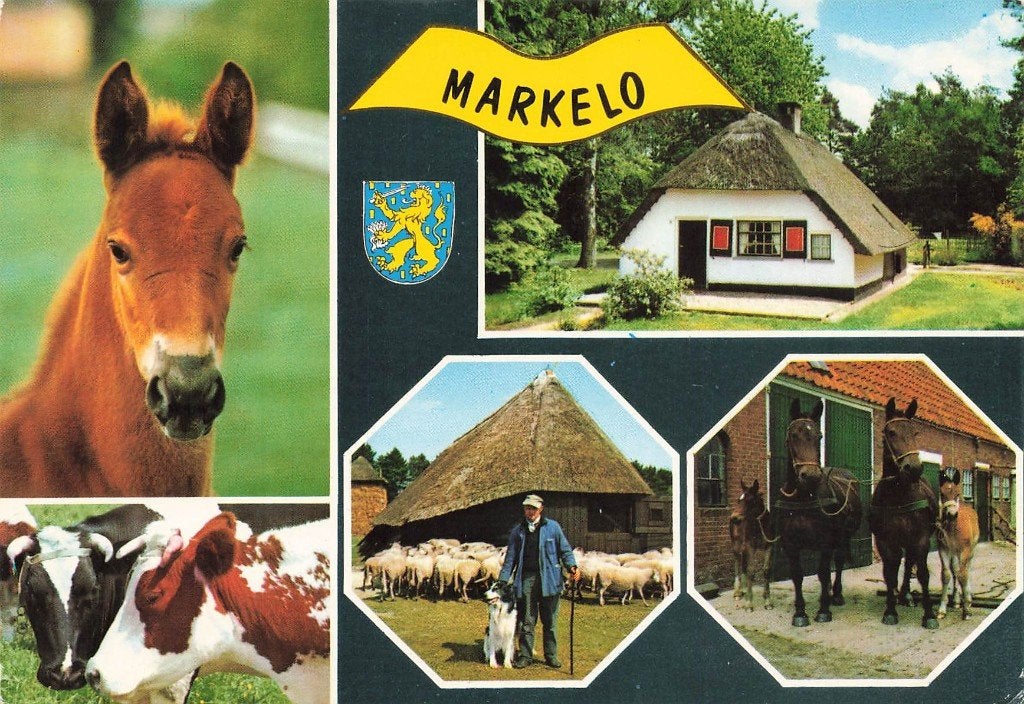 Markelo, Ophalen of Verzenden, 1980 tot heden, Gelopen, Overijssel