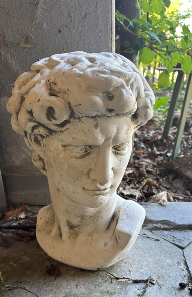 Klassieke Buste van David - David - Tuinbeeld, Antiek en Kunst, Kunst | Beelden en Houtsnijwerken, Ophalen, Weerbestendig, Buste