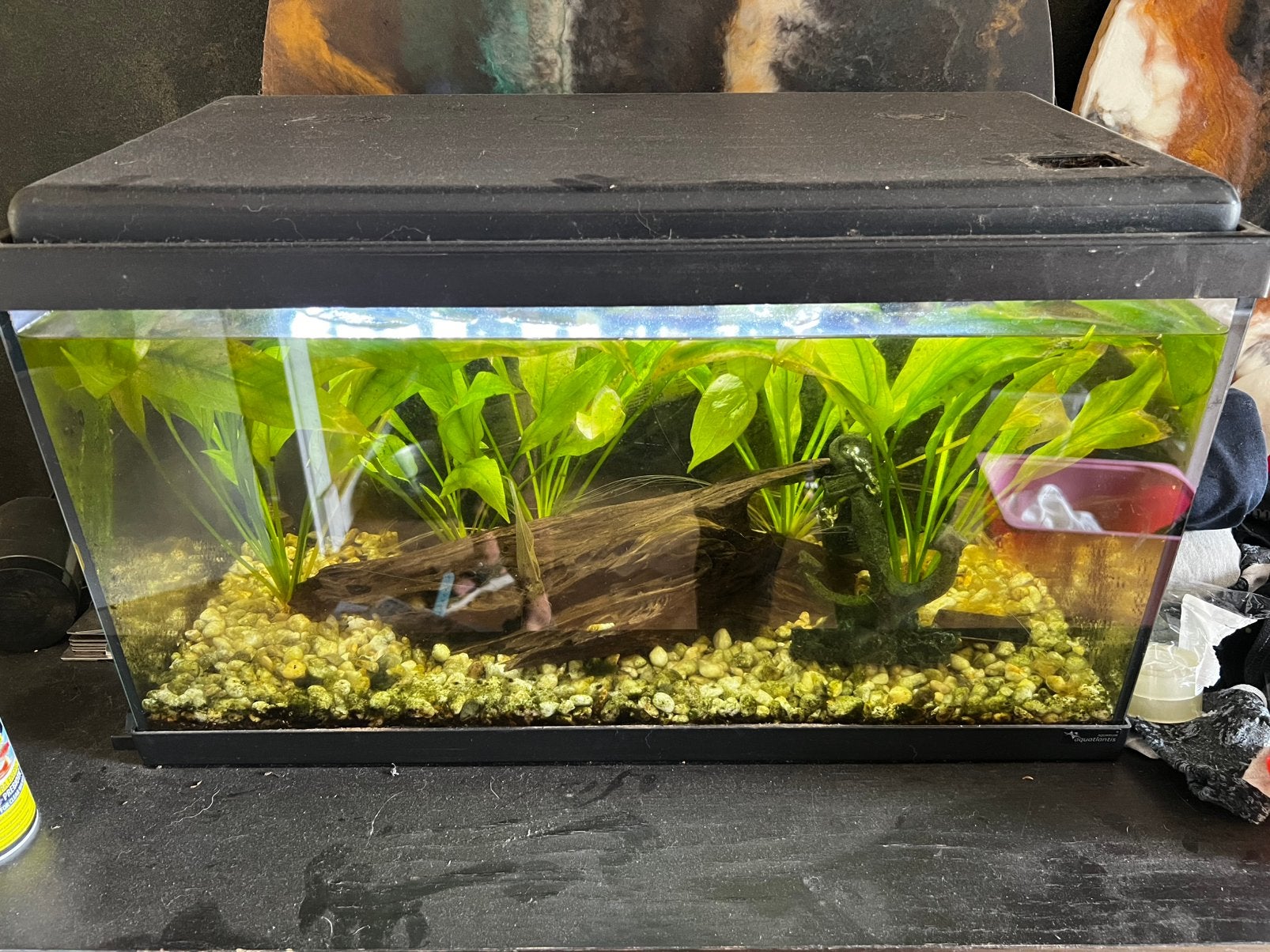 Aquarium, Dieren en Toebehoren, Ophalen of Verzenden, Zo goed als nieuw, Leeg aquarium