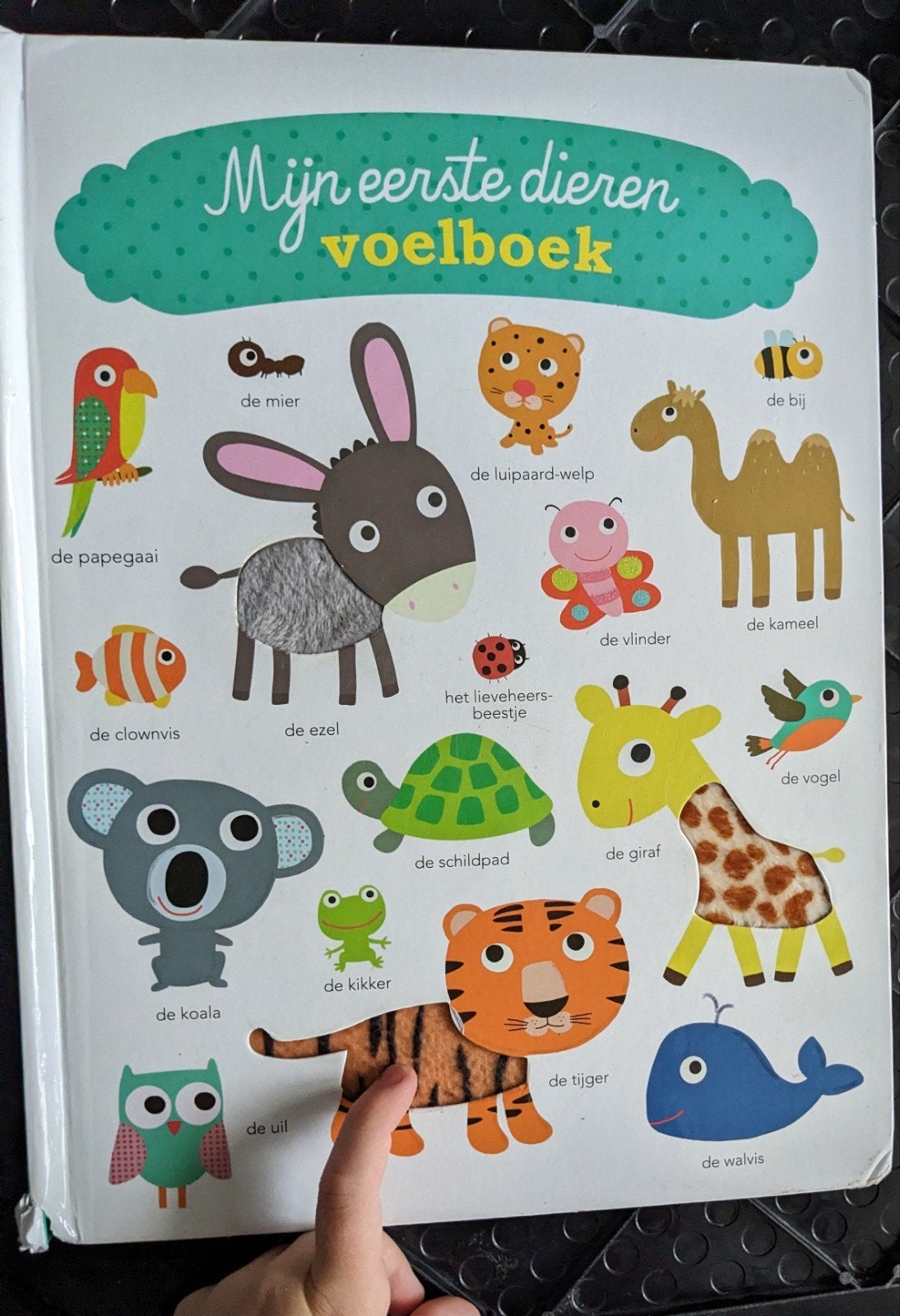 Mijn eerste dieren voelboek - Groot formaat, Boeken, Ophalen of Verzenden