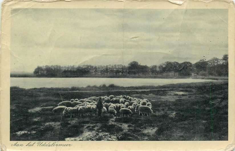 380-159-029 Apeldoorn Uddelermeer, Verzenden, Voor 1920, Gelderland