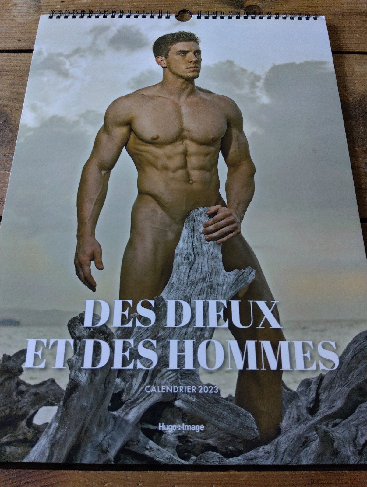 Gay, homo. Des Dieux & Des Hommes kalender 2023.  43/31 cm, Ophalen of Verzenden, Maandkalender