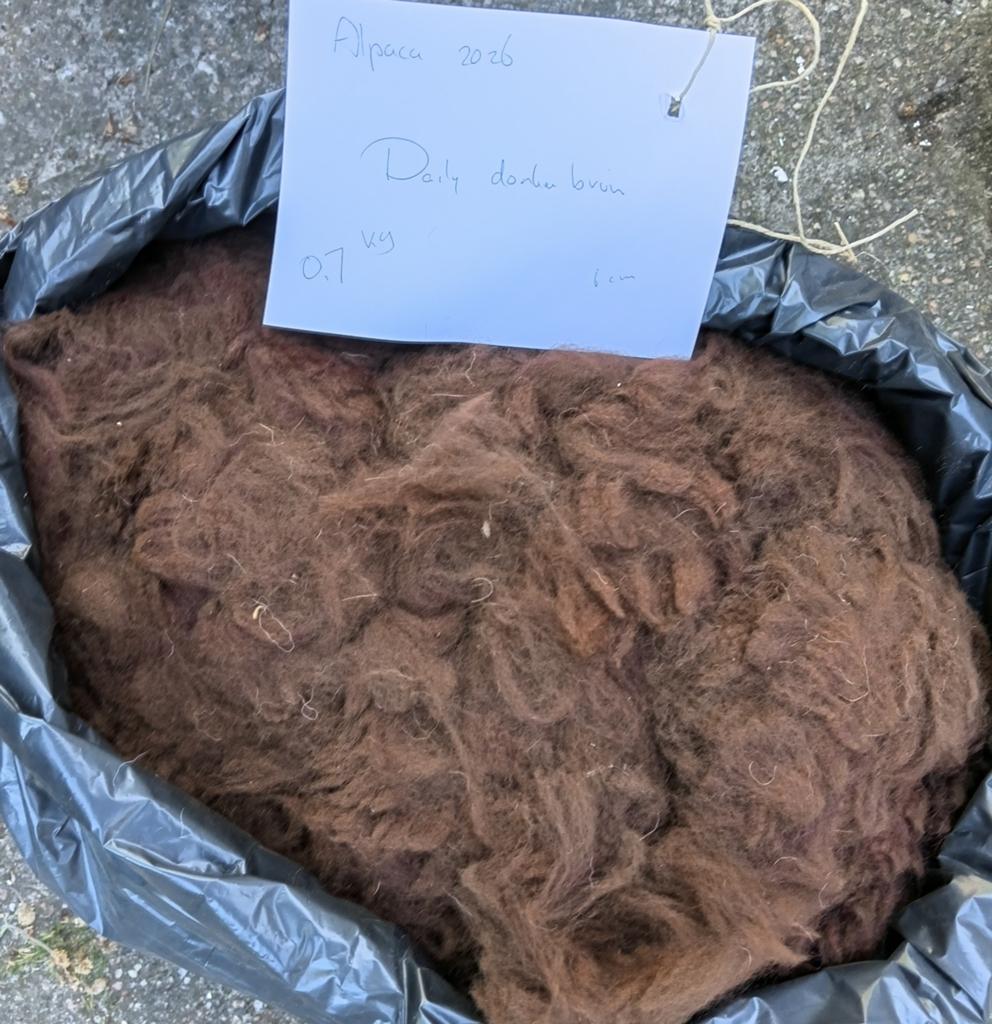 Bruine Alpaca vacht Daily met veel crimp, Ophalen of Verzenden, Nieuw, Spinwol