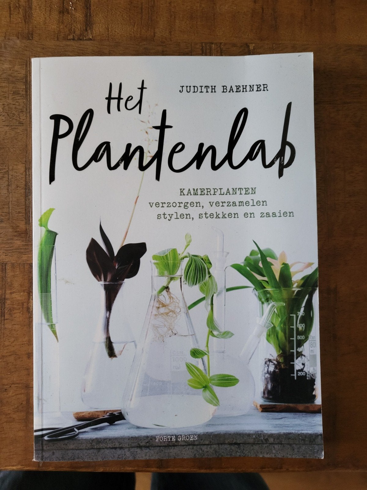 Judith Baehner - Het plantenlab, Boeken, Bloemen, Planten en Bomen, Ophalen of Verzenden, Zo goed als nieuw, Judith Baehner