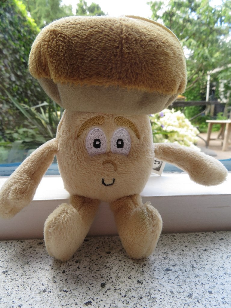 Chanti Champignon van Lidl paddenstoel knuffel zacht velours, Lidl, Overige typen, Ophalen of Verzenden, Zo goed als nieuw
