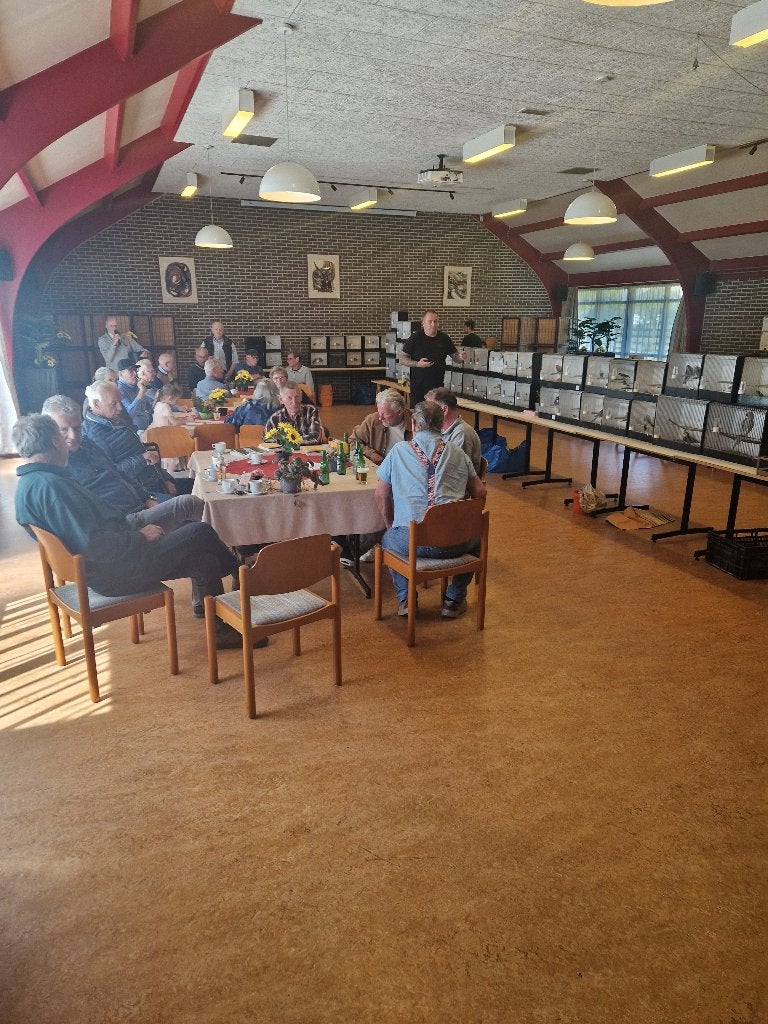 Vogelmarkt, Dieren en Toebehoren, Parkiet