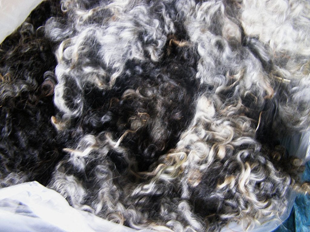 grijze gotland pels schapenwol spinnewiel spinnen vilt, Ophalen of Verzenden, Nieuw, Spinwol