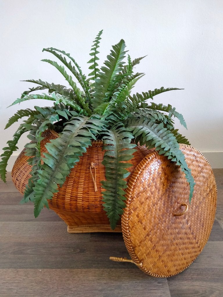 Rotan mand met deksel, Ophalen, Mand, Zo goed als nieuw, Riet