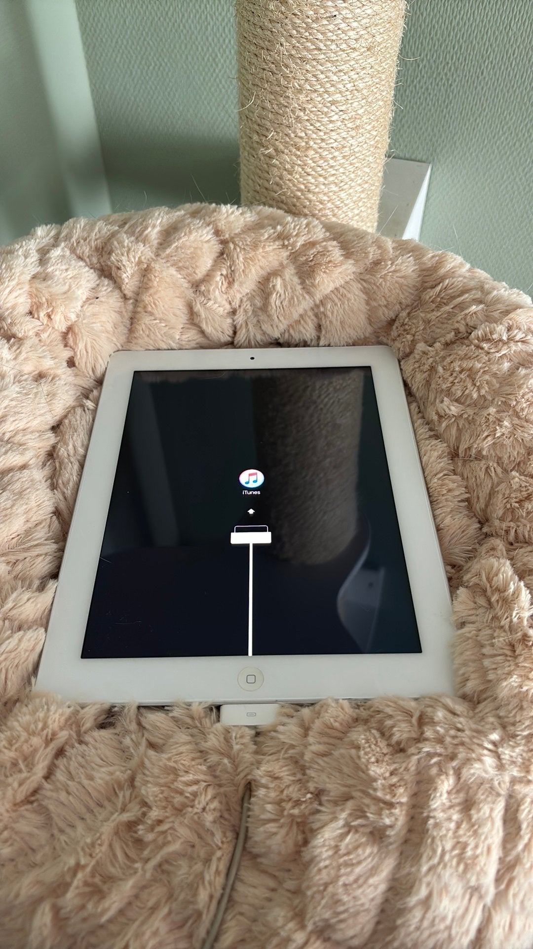 Ipad, Computers en Software, Apple iPads, 10 inch, Gebruikt, Apple iPad, Wit