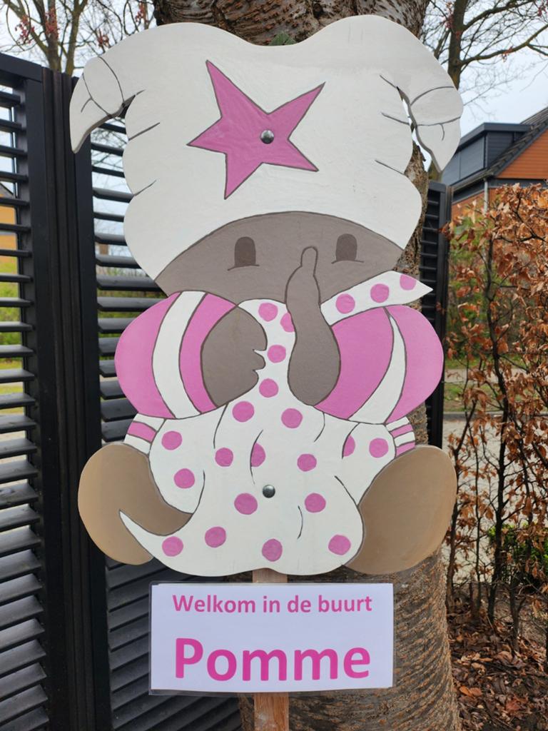 Geboortebord met naam vanaf 10 euro voor in de tuin huren, Ophalen, Nieuw, Geboortebord