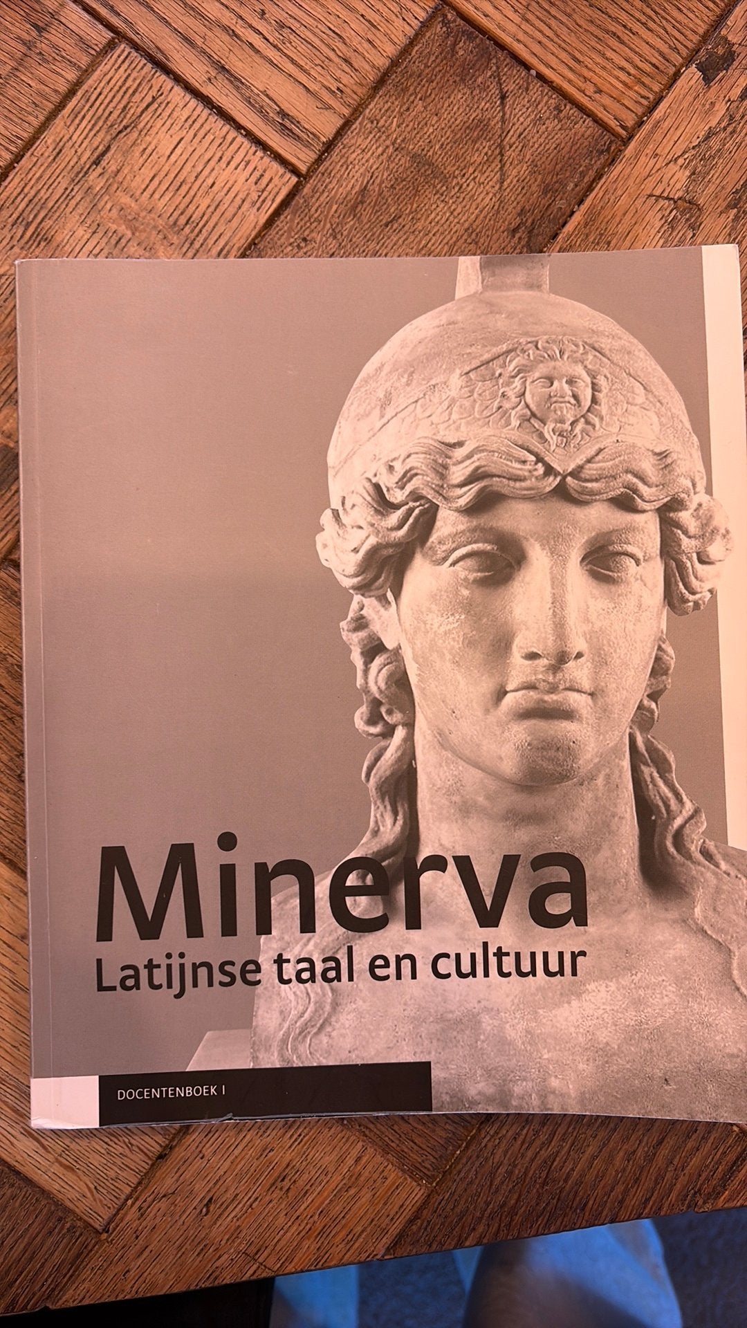Minerva docentenboek 1, Ophalen of Verzenden, Zo goed als nieuw, Riemer van der Veen; Maarten Prot; Niels Koopman; Jori Castri...