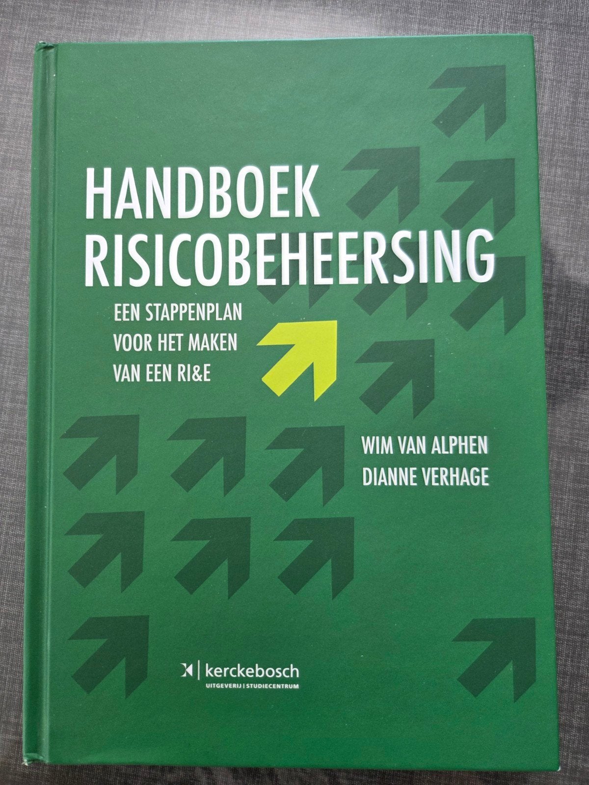 Handboek Risicobeheersing - Wim van Alphen & Dianne Verhage, Boeken, Zo goed als nieuw, Wim van Alphen, Dianne Verhage, Gamma
