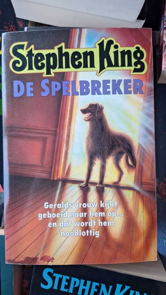 Stephen King - De Spelbreker, Boeken, Thrillers, Zo goed als nieuw, Ophalen
