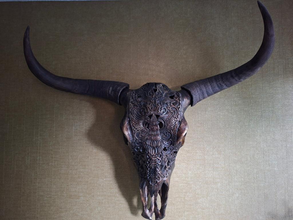 Longhorn schedel met hoorns- bronskleurig, Western, Ophalen, Zo goed als nieuw, Decoratieobject
