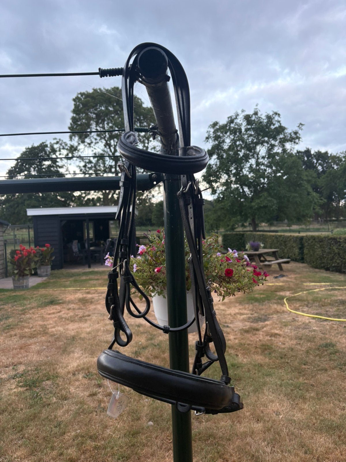 Nieuw stang en trens hoofdstel, zwart, full, Hoofdstel, Nieuw, Ophalen of Verzenden, Zwart