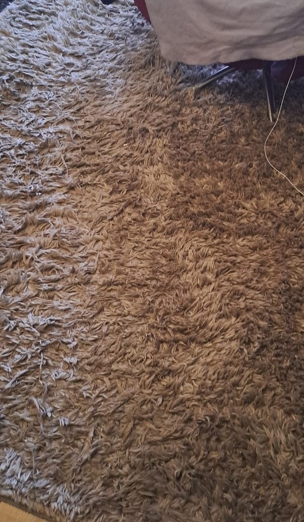 vloerkleed, wol, taupe, hoogpolig, afmeting 200 x 290 cm, Ophalen, Gebruikt, Klassiek, 200 cm of meer