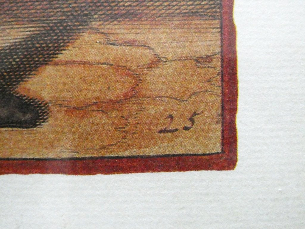 Ridder in gevechtshouding nummer 25 litho, Antiek en Kunst, Curiosa en Brocante, Ophalen of Verzenden