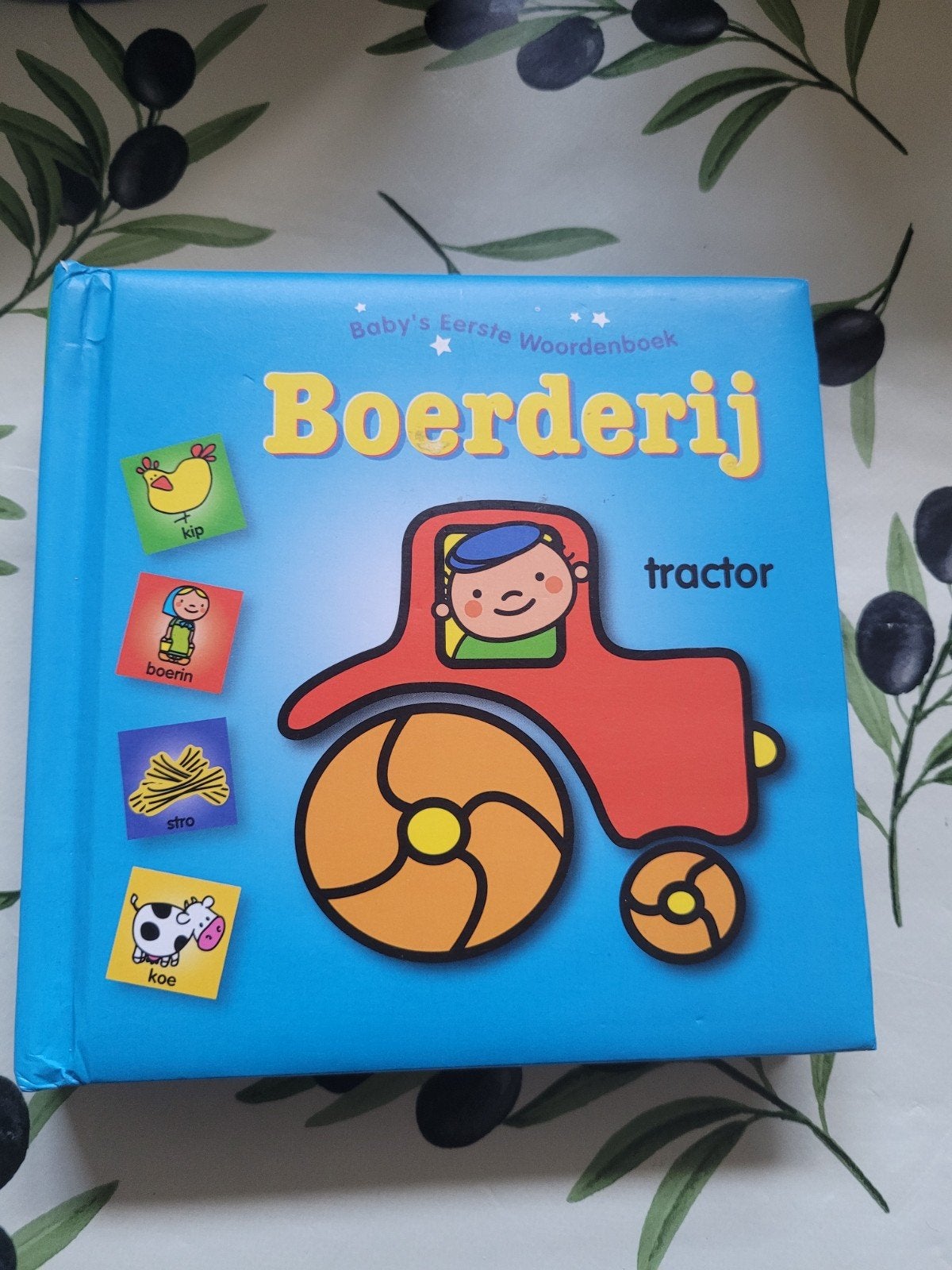 Baby's Eerste Woordenboek Boerderij, Ophalen, Zo goed als nieuw, 0 tot 6 maanden
