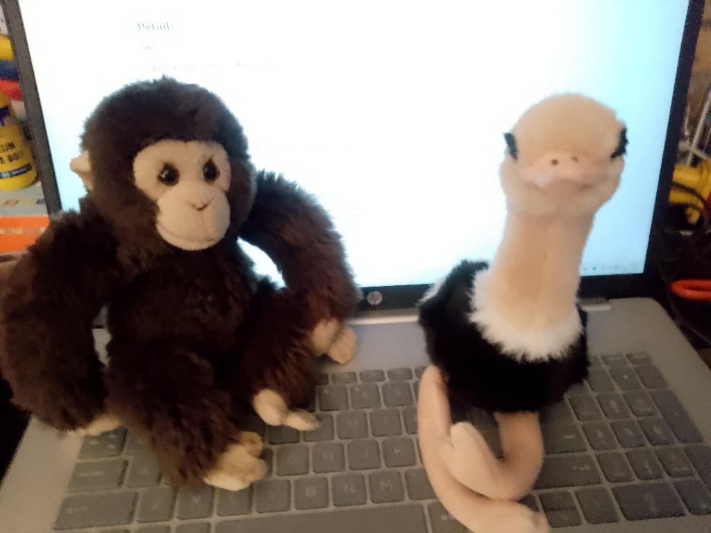 2 x wnf knuffels   eend en aap hoogte ongeveer 20 cm zgan, Ophalen of Verzenden, Zo goed als nieuw, Overige typen