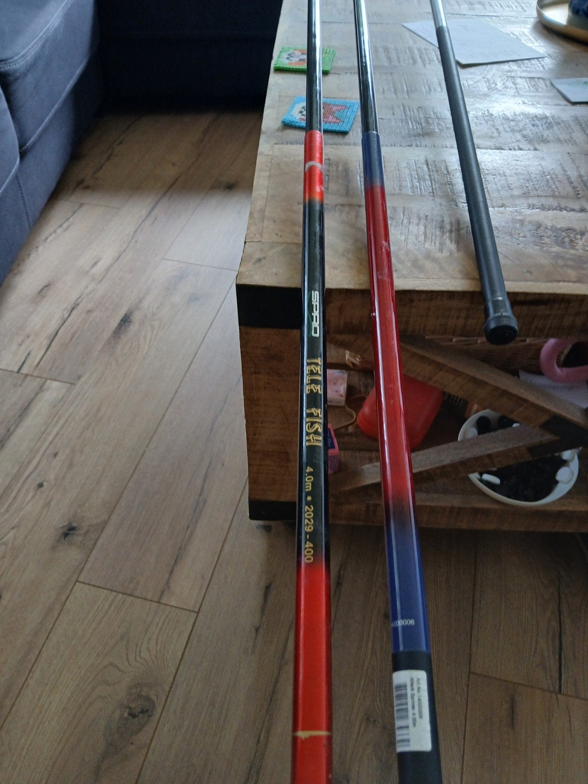 Diverse Telescoop Hengels - 4 meter, Ophalen