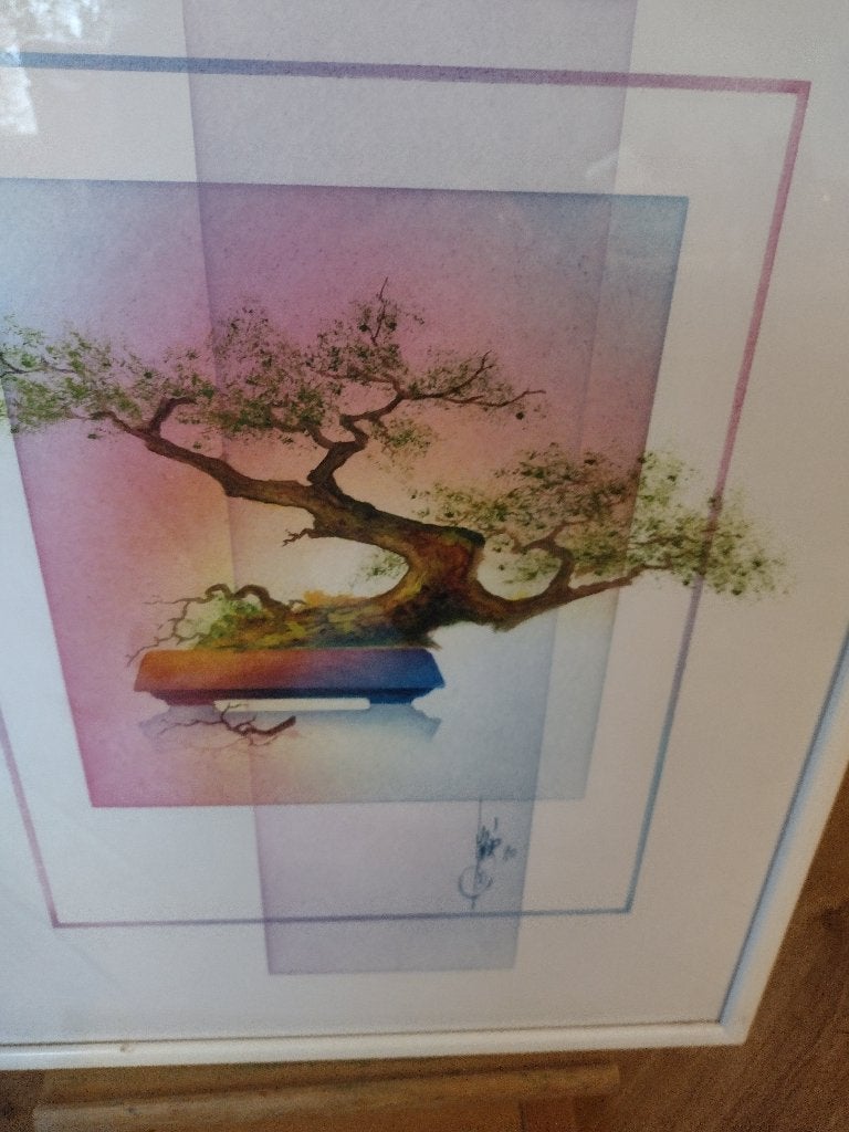 bonsai boompje werk is gesigneerd zit achter glas, Ophalen of Verzenden, Ingelijst
