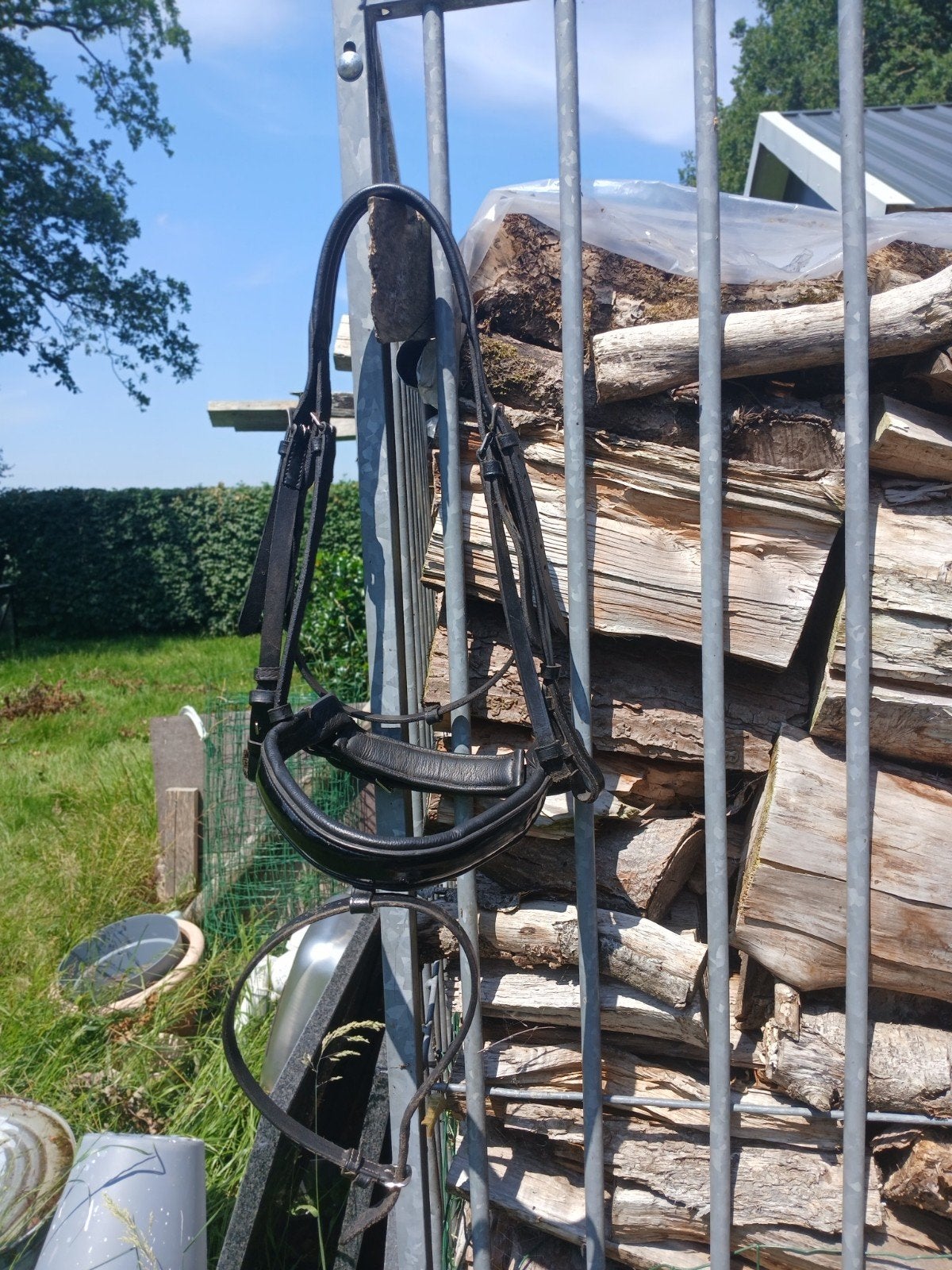 Hoofdstel zwart, Dieren en Toebehoren, Ophalen, Gebruikt, Overige soorten