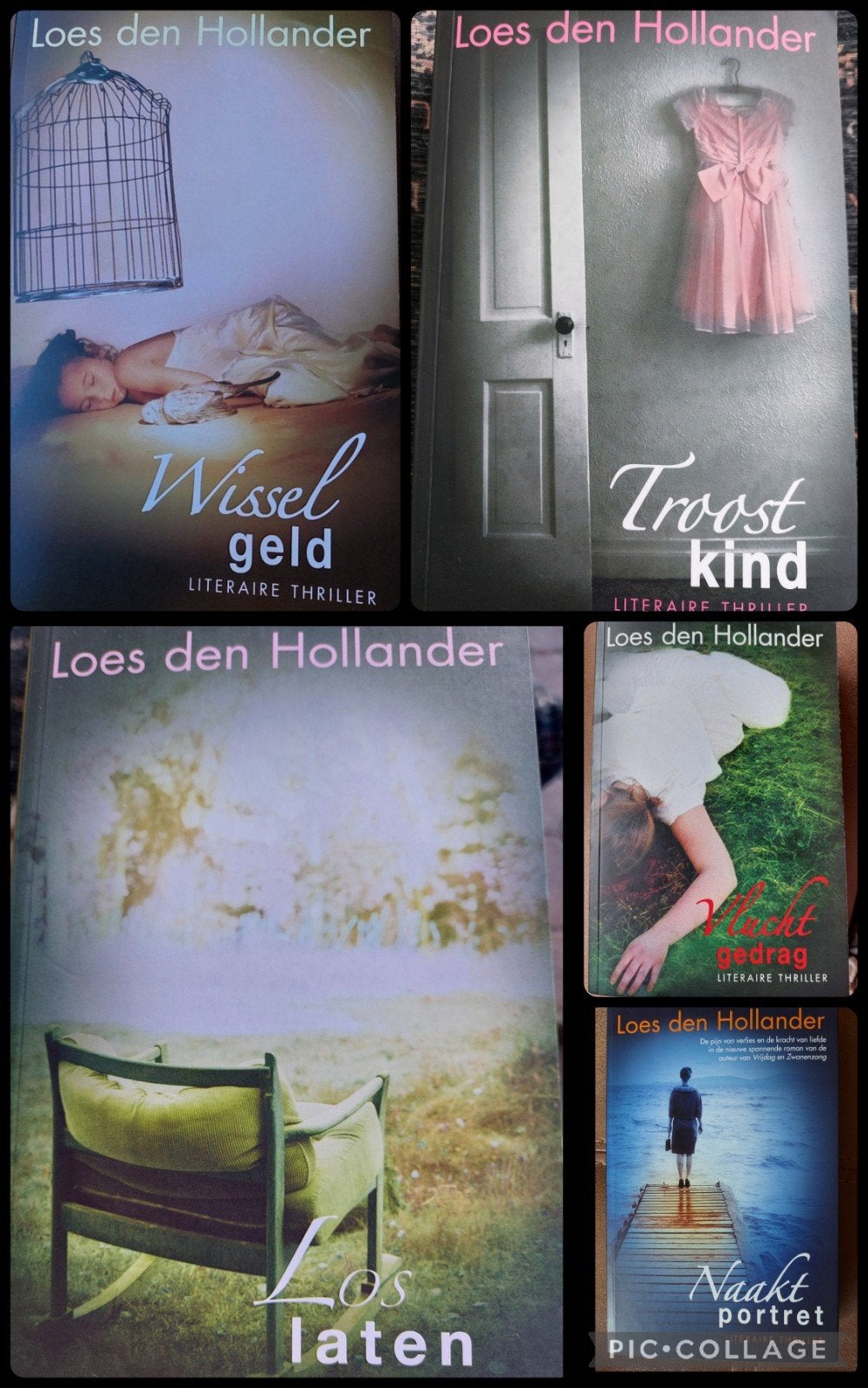 Loes den Hollander-  vijf spannende literaire thrillers., Ophalen of Verzenden, Zo goed als nieuw, Loes den Hollander