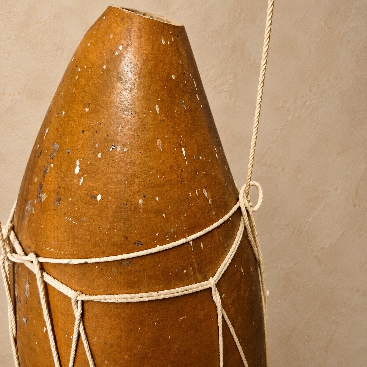 Afrikaanse Kalebas Waterdrager / Melkkruik - 50 cm, Ophalen of Verzenden