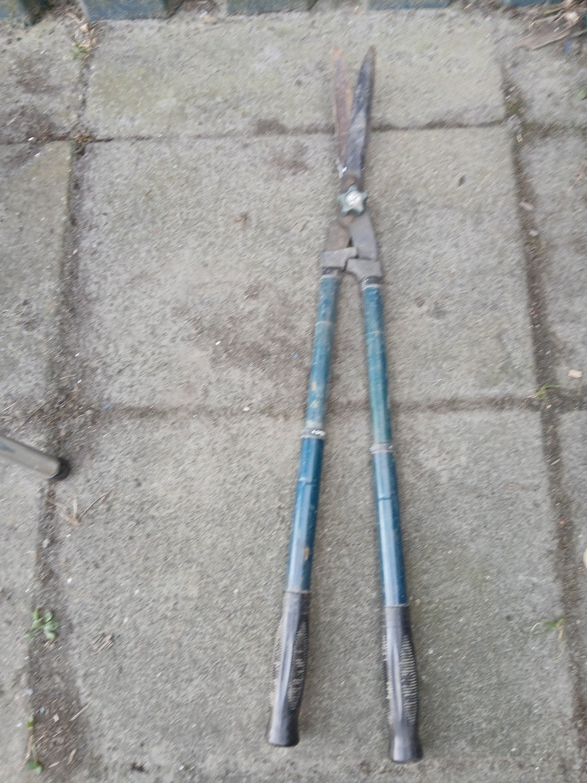 Een gebruikte takkenschaar., Tuin en Terras, Hand-tuingereedschap, Ophalen, Gebruikt, Overige soorten