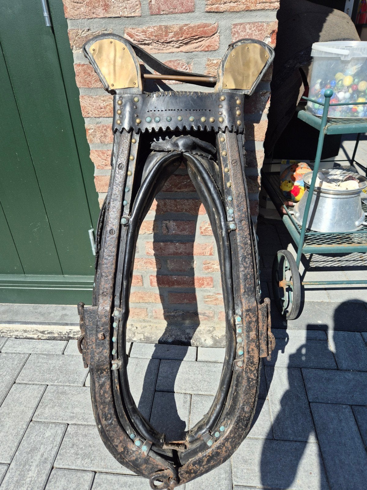 mooie oude Haam, Dieren en Toebehoren, Ophalen