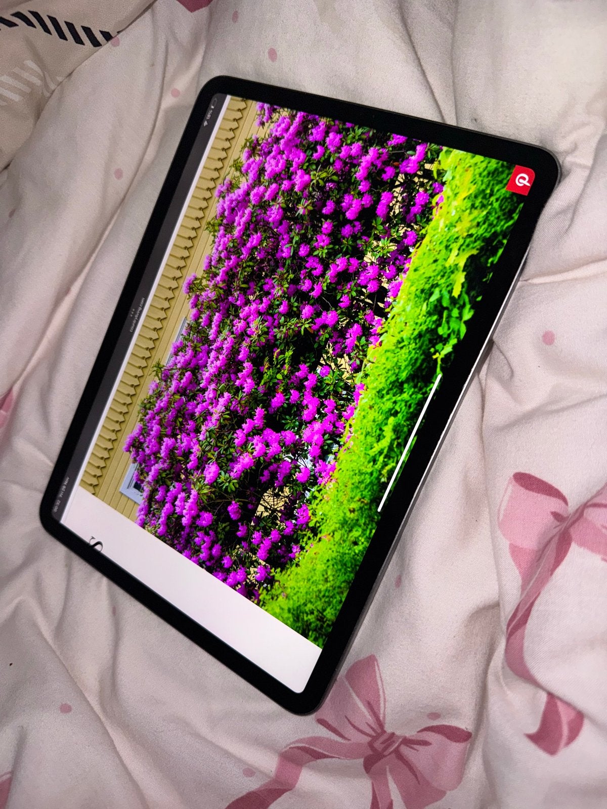 Apple iPad Pro (vermoedelijk 2022) - Zo goed als nieuw, Computers en Software, Apple iPads, Ophalen, 11 inch, Zo goed als nieuw