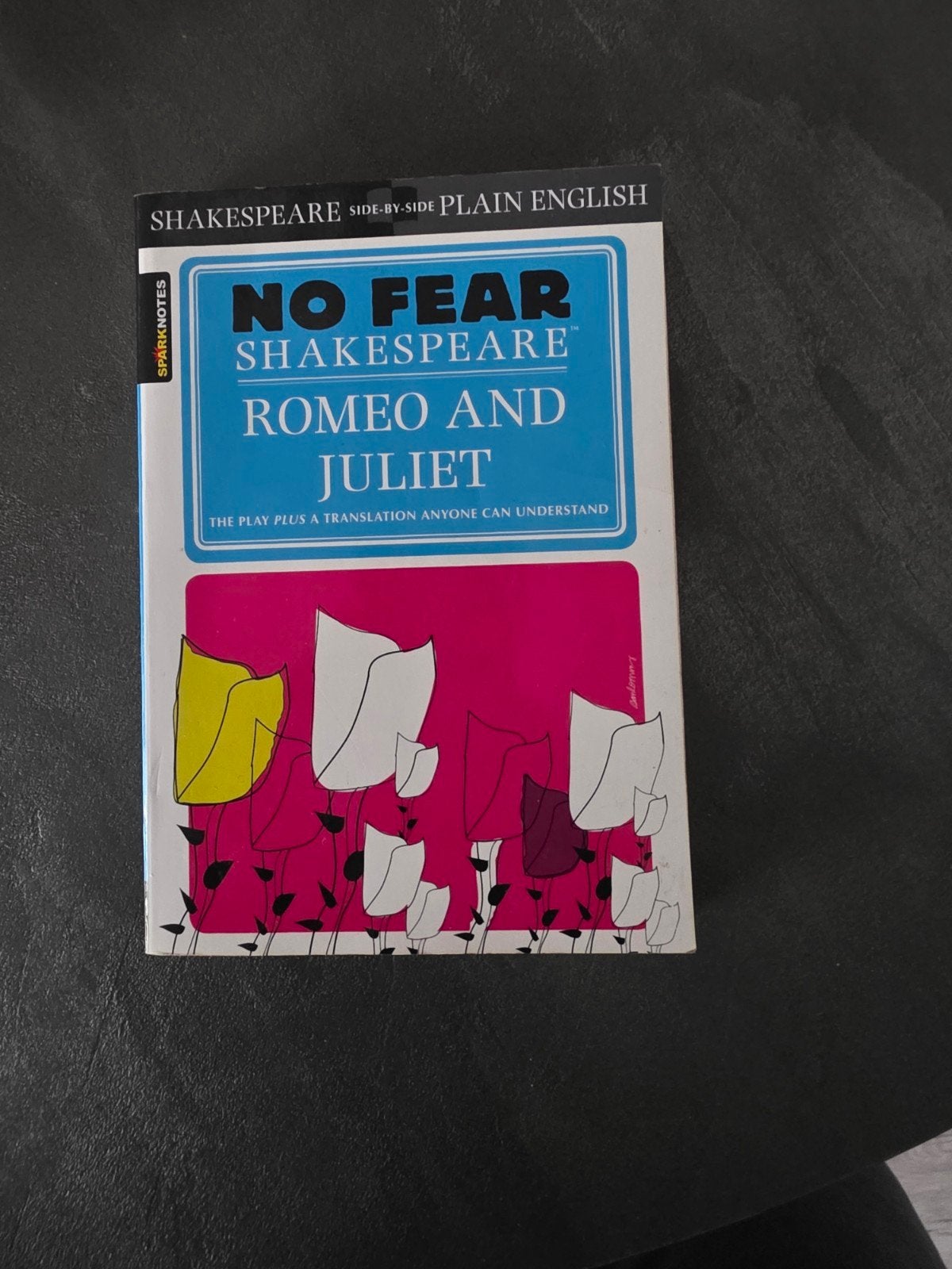 No Fear Shakespeare: Romeo and Juliet - Studieboek, Ophalen of Verzenden, Zo goed als nieuw, William Shakespeare, Amerika