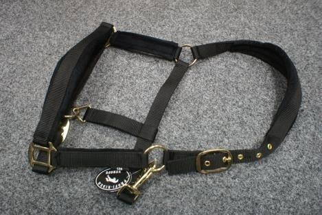 luxe zwart velvet halster full Profi Rider zachte stof, Dieren en Toebehoren, Paarden en Pony's | Hoofdstellen en Tuigage, Ophalen of Verzenden