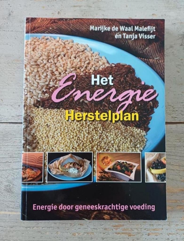 Marijke de Waal Malefijt - Het Energie Herstelplan, Ophalen of Verzenden, Zo goed als nieuw, Marijke De Waal Malefijt, Gezond koken