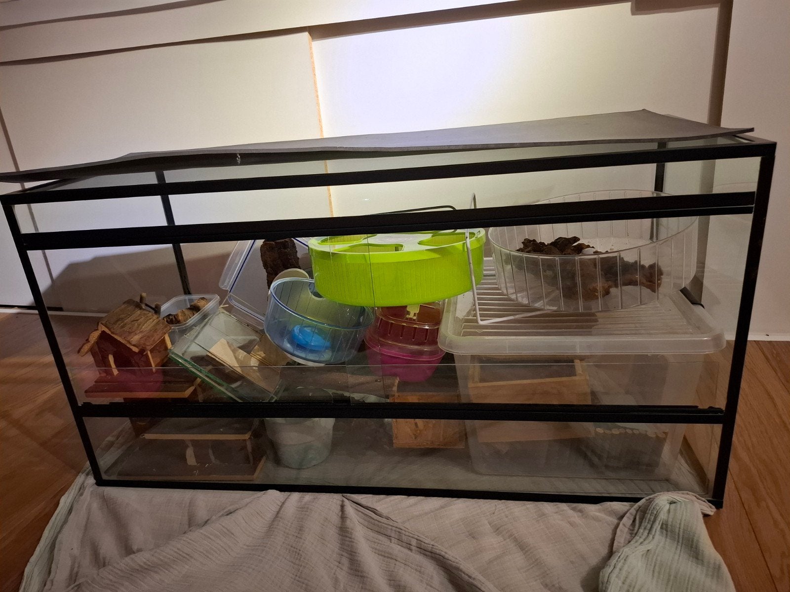 hamster terrarium 100cm met veel toebehoren, Ophalen