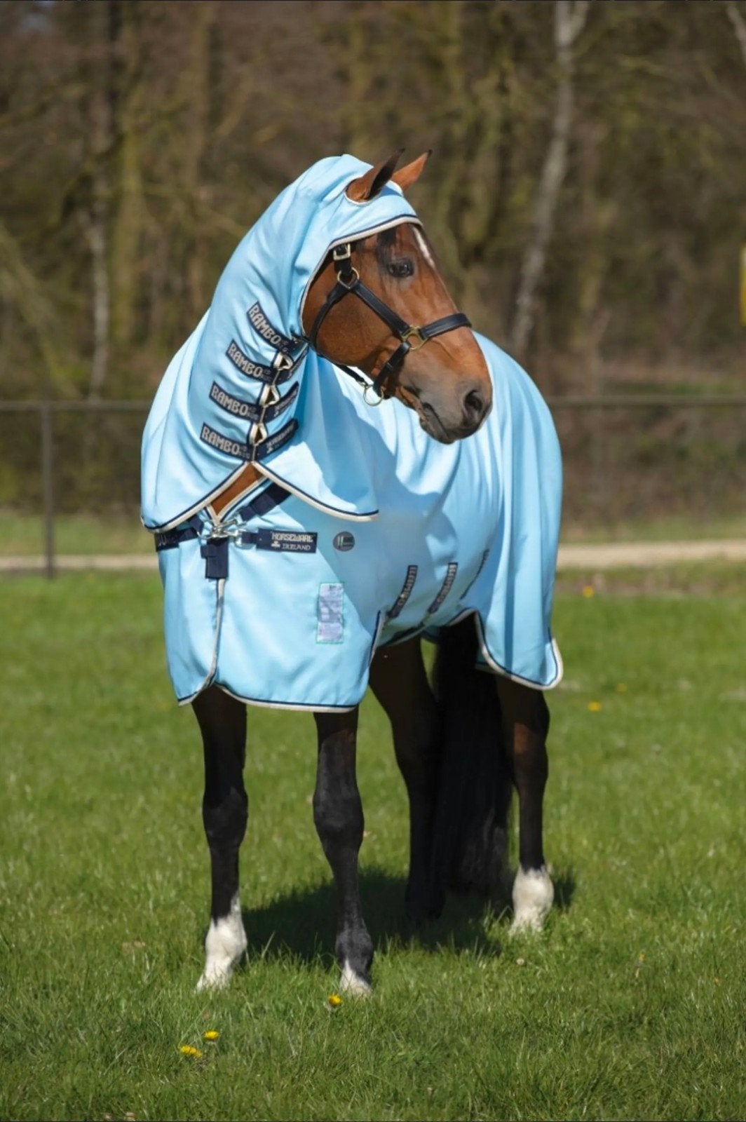 Rambo Sweet Itch Hoody Vamoose Eczeemdeken 6'6 (198), Dieren en Toebehoren, Paarden en Pony's | Dekens en Dekjes, Full (L), 0 g