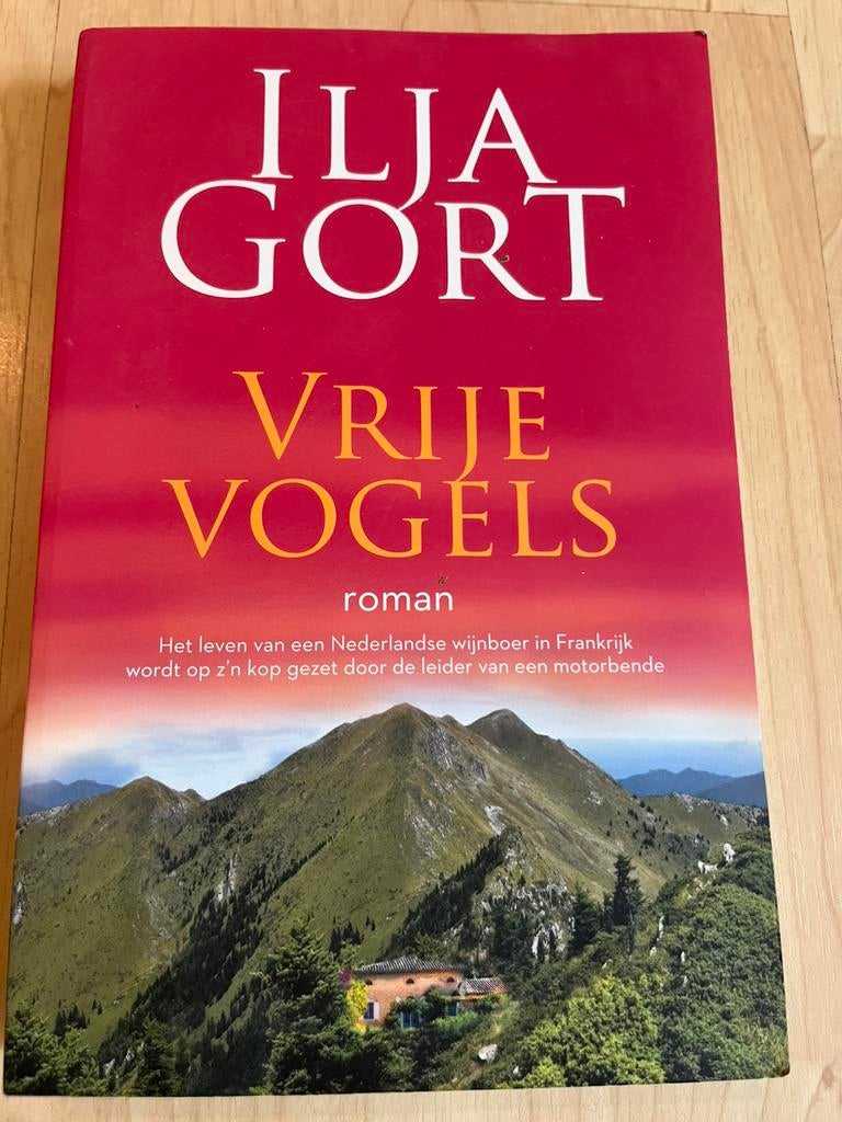 Ilja Gort - Vrije vogels, Ophalen of Verzenden, Zo goed als nieuw, Ilja Gort
