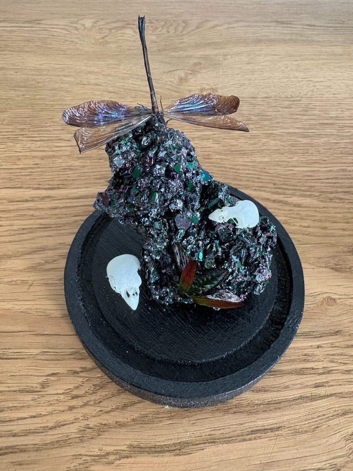 Uniek insectenkunstwerk in glazen stolp, taxidermie, Ophalen, Overige onderwerpen, Minder dan 20 cm, Natuurlijk materiaal