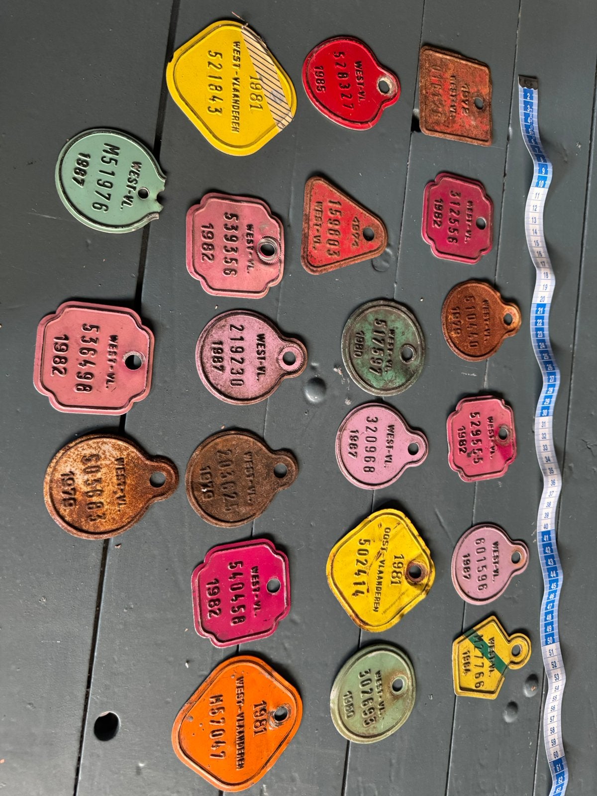Vintage Belgisch / Vlaamse Vee Label., Ophalen of Verzenden, Gebruikt
