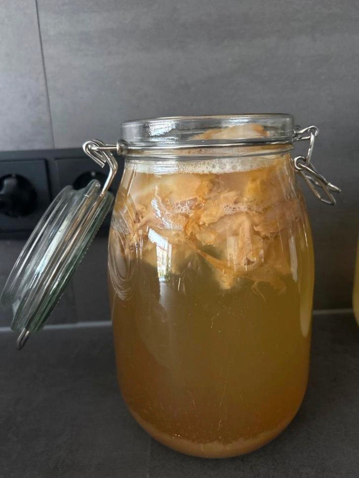 Jun scoby, Diversen, Ophalen