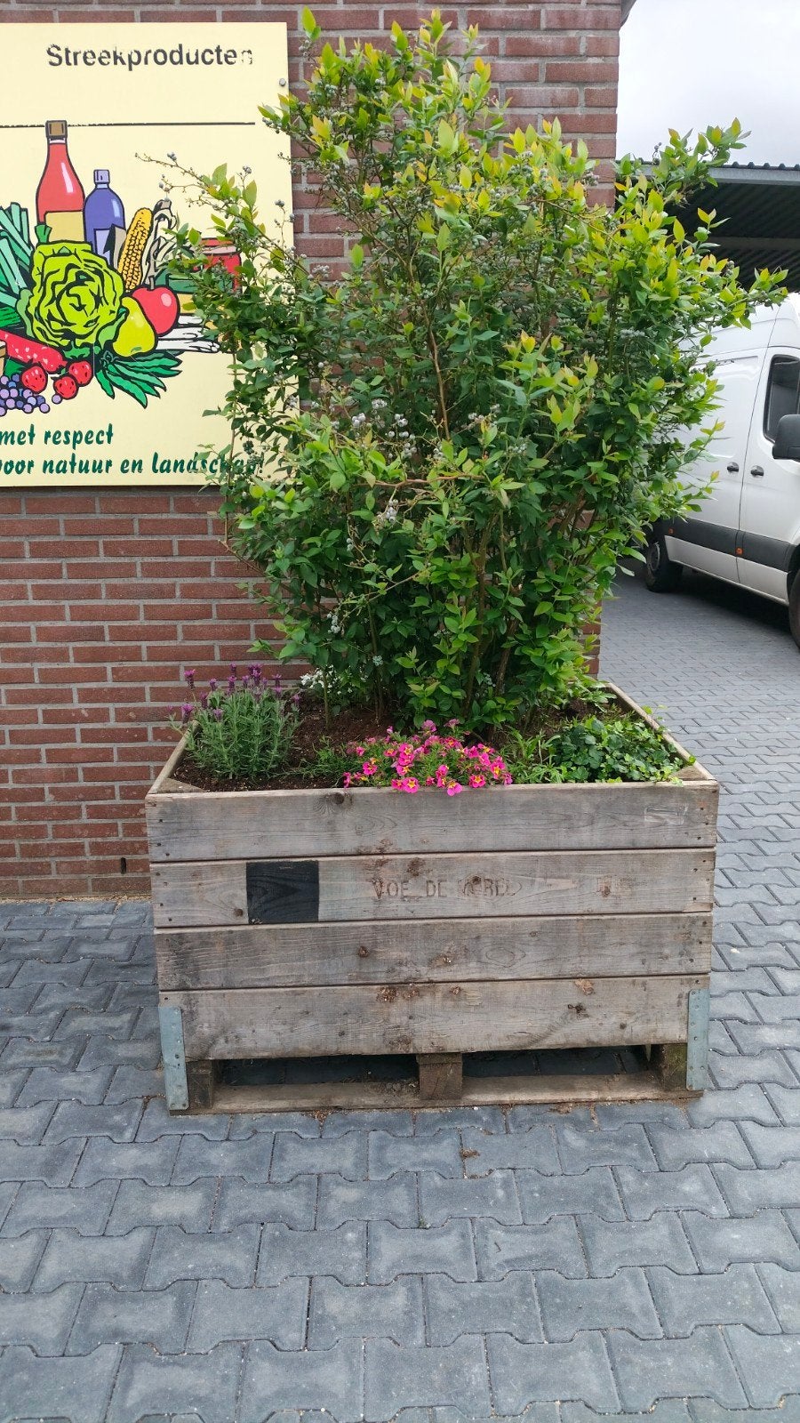 Planten bakken fruitkisten opslag bak, Doe-het-zelf en Verbouw, Kratten en Dozen, 100 cm of meer, 60 cm of meer, Ophalen of Verzenden