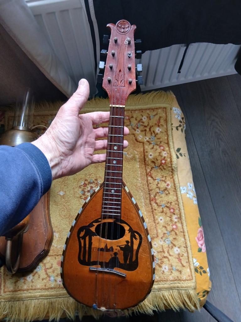 Vintage italjaanse  mandoline (bowl- back) begin 20  eeuw., Ophalen of Verzenden, Gebruikt, Solid body, Overige merken