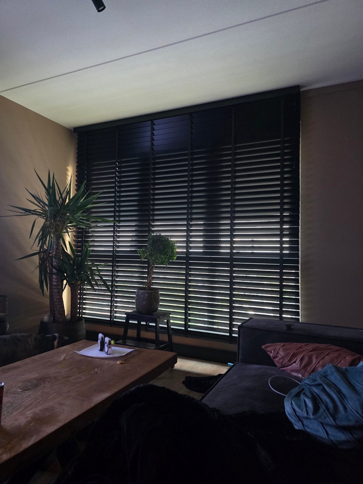 veneta hout jaloezieën, Ophalen of Verzenden, Nieuw