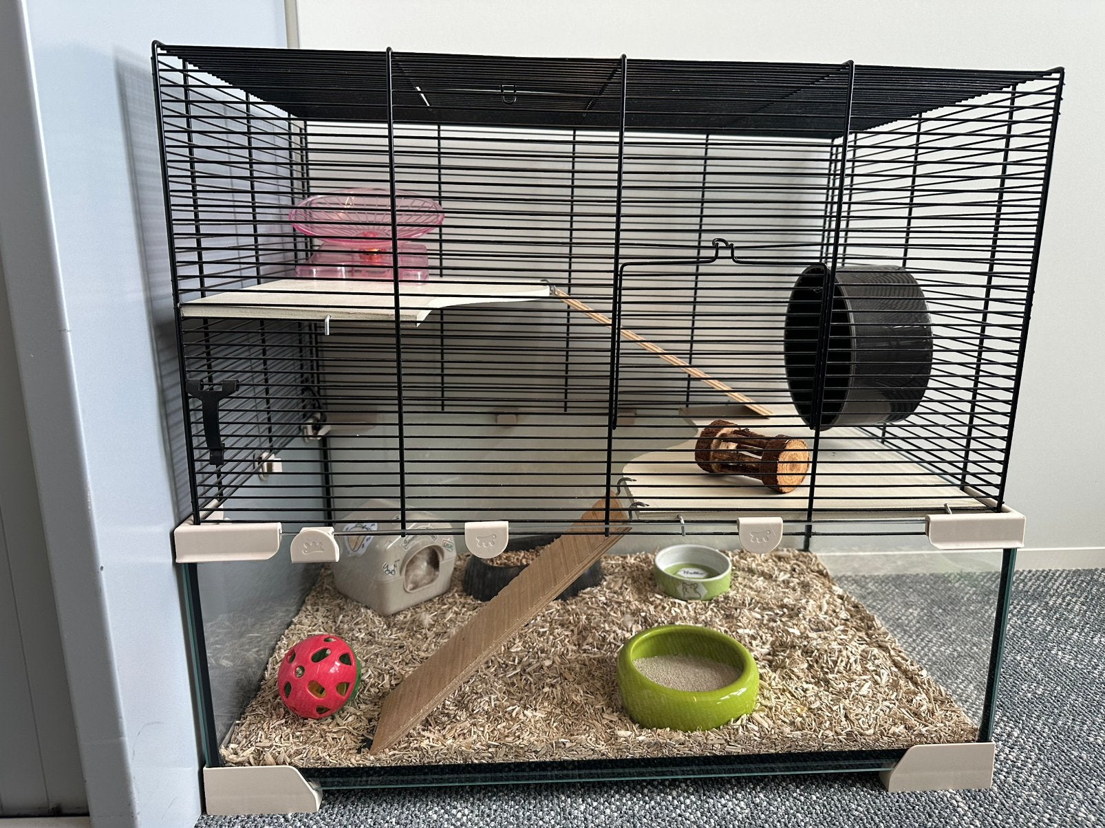 Cage with glass bottom for small rodents (hamsters, etc.), Kooi, Minder dan 75 cm, Zo goed als nieuw, Hamster