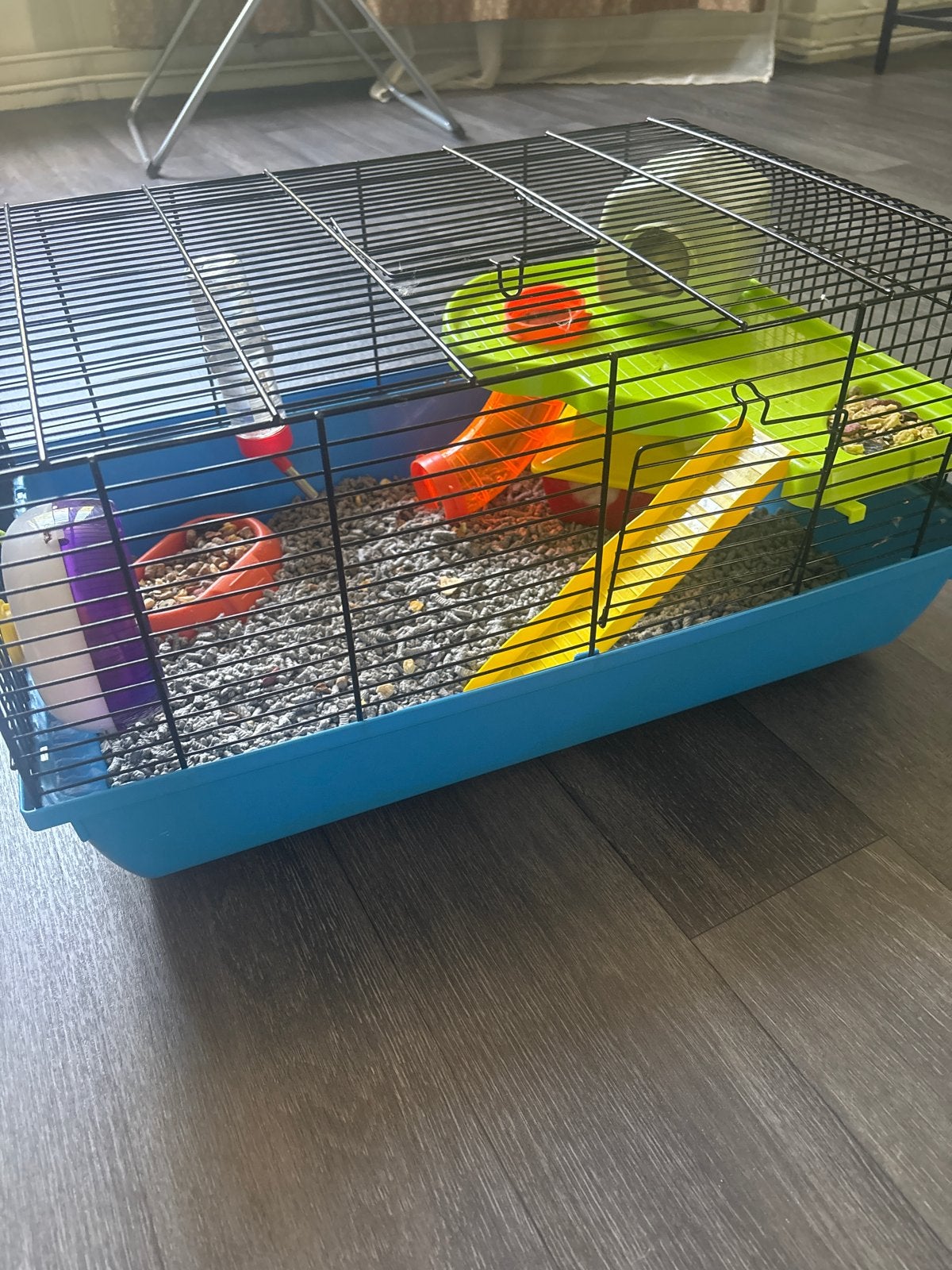 Chinese dwerghamster te koop, Dieren en Toebehoren, Knaagdieren, Hamster, Mannelijk, Januari, Tam