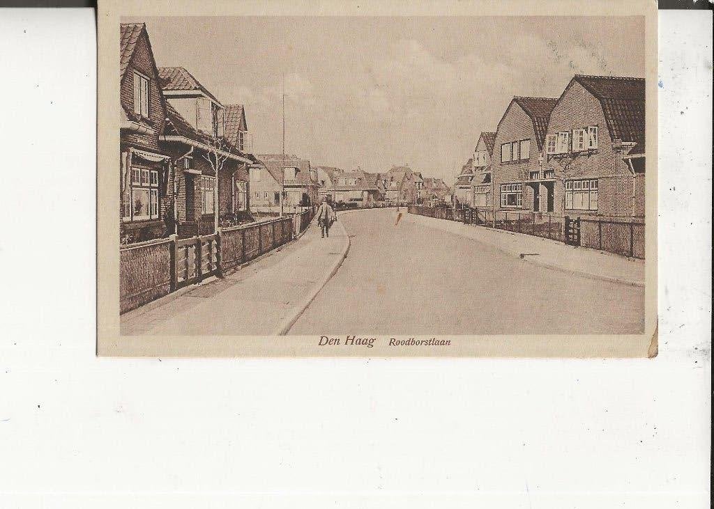 Den Haag Roodborstlaan   Artur Klitzsch, Verzamelen, Ophalen of Verzenden, 1920 tot 1940, Ongelopen, Zuid-Holland